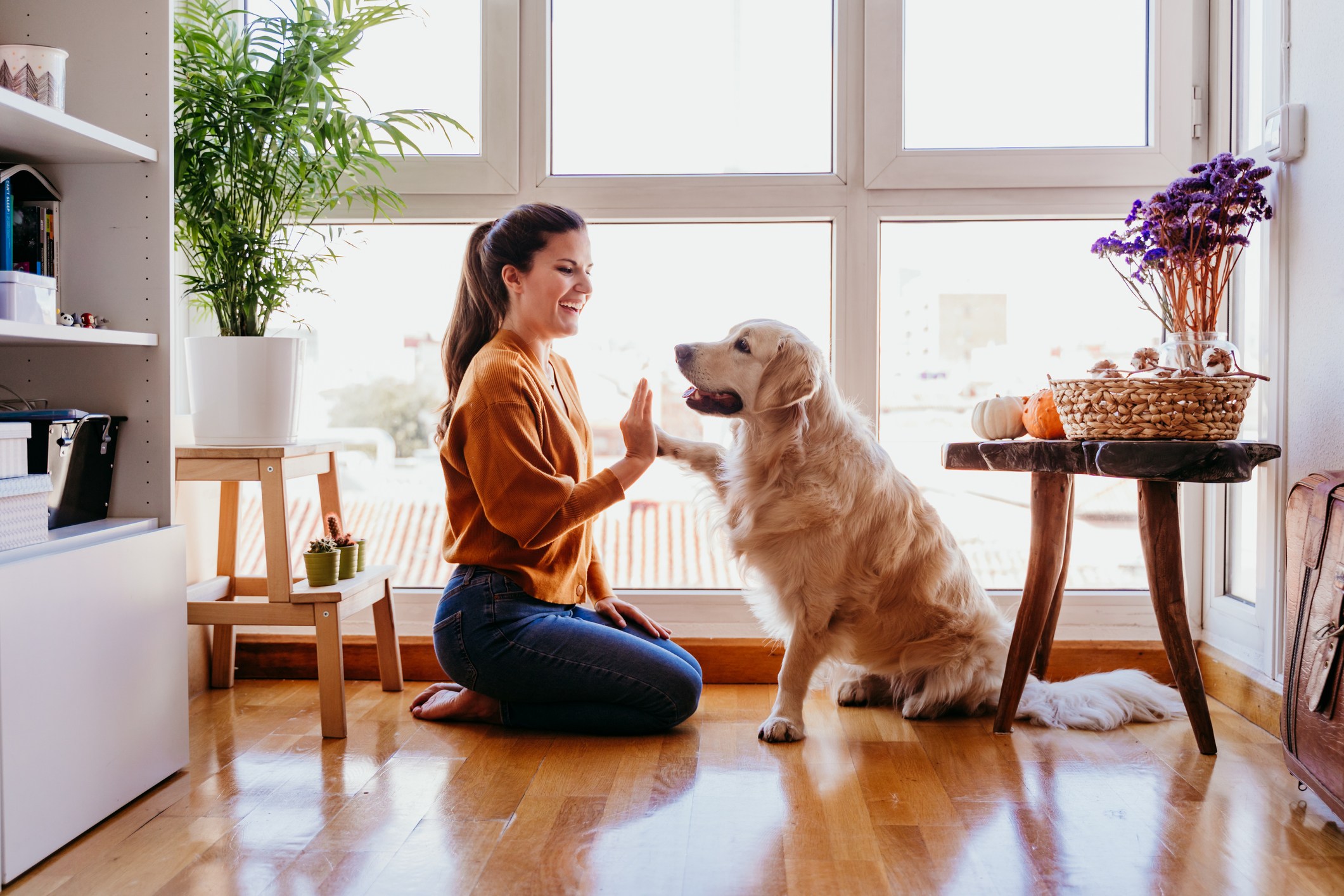 The Heart Of Wilmette Pet Care: Meet The Passionate Team Behind Wilmette Animal Hospital
